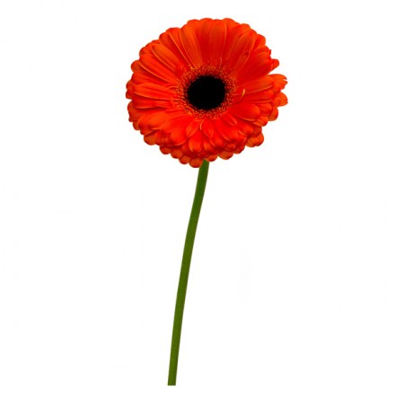 7655